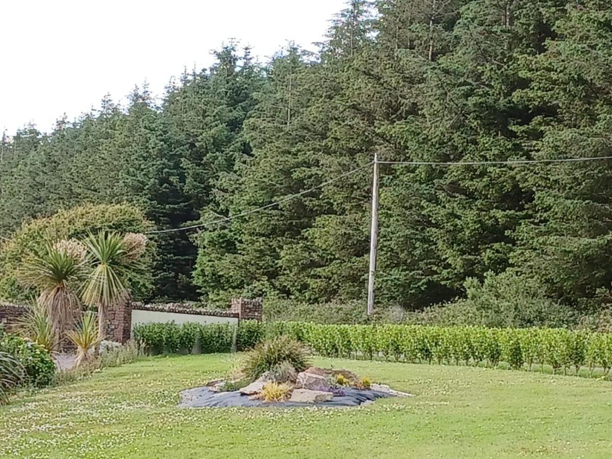 Ashburnum Cottage Bandon Exterior photo